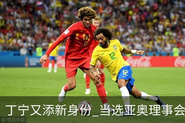 丁宁又添新身份 当选亚奥理事会运动员委员会主席