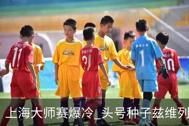 上海大师赛爆冷 头号种子兹维列夫无缘决赛