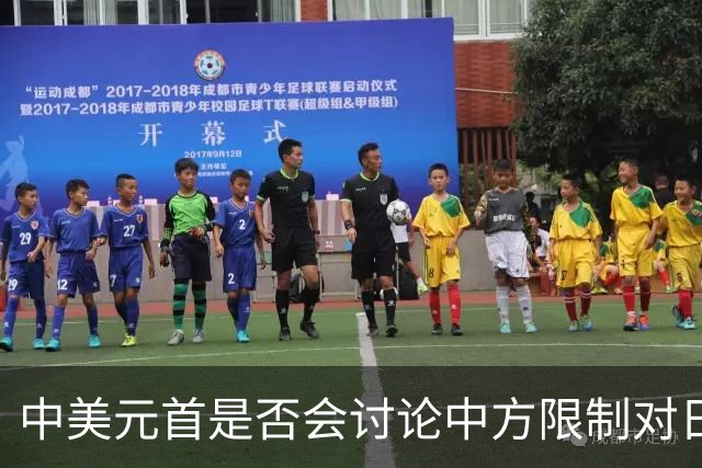中美元首是否会讨论中方限制对日稀土出口？外交部回应