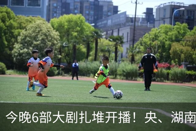 今晚6部大剧扎堆开播！央、湖南、东方同台比拼，别盲目追错剧