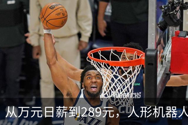 从万元日薪到289元，人形机器人租赁价格大跳水