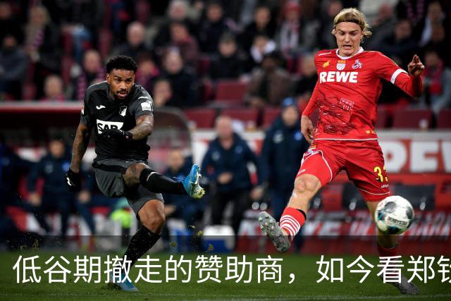 低谷期撤走的赞助商，如今看郑钦文夺冠，拍大腿都来不及了！