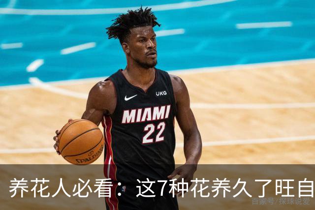 养花人必看：这7种花养久了旺自己，送人等于送走好运气