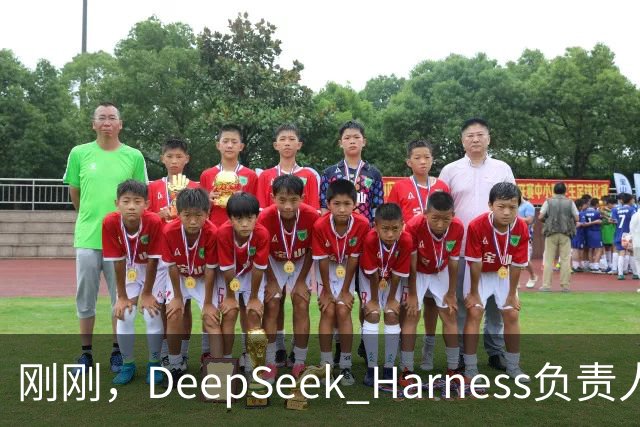 刚刚，DeepSeek Harness负责人回应兼容Claude Mods：为验证能力子集，正训练Agent“用插件自进化”