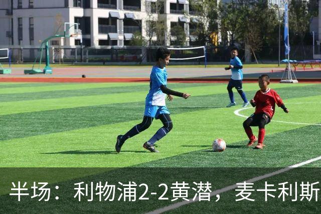 半场：利物浦2-2黄潜，麦卡利斯特、阿劳霍破门