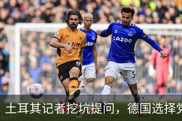 土耳其记者挖坑提问，德国选择党议员当场怒怼：一个中国不容质疑