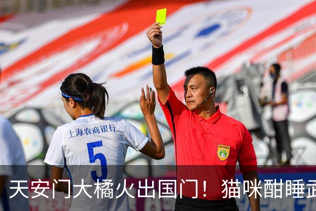 天安门大橘火出国门！猫咪酣睡武警脚旁，外网集体破防：这不可能
