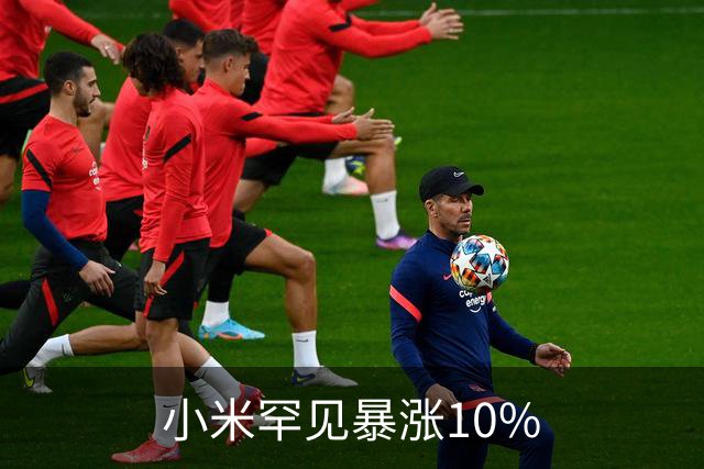 小米罕见暴涨10%