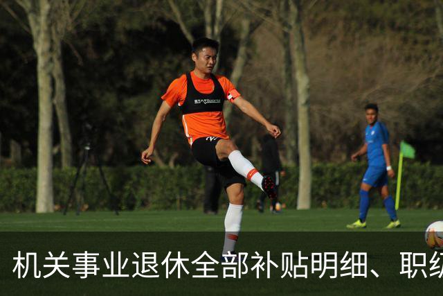 机关事业退休全部补贴明细、职级、年龄、标准一次性讲清楚