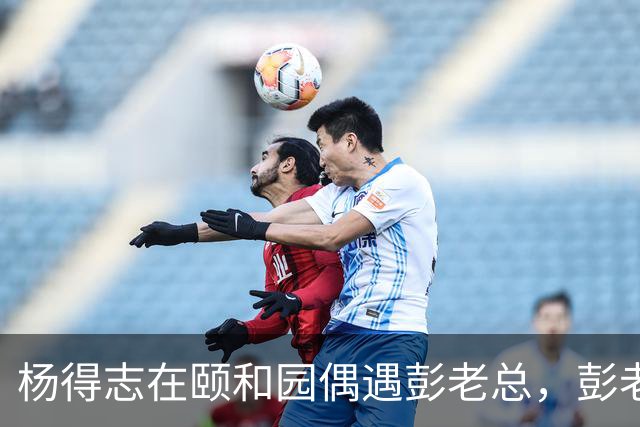 杨得志在颐和园偶遇彭老总，彭老总却装作没看见他