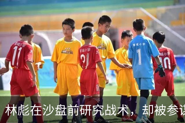 林彪在沙盘前研究战术，却被参谋质疑，林彪：你来指挥试试看
