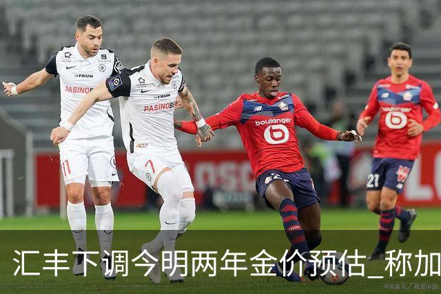 汇丰下调今明两年金价预估 称加息和高油价或继续施压黄金