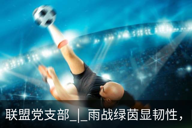 联盟党支部 | 雨战绿茵显韧性，四队争锋聚合力——联盟组织第二次行业足球友谊赛圆满收官