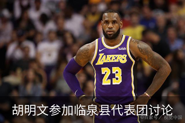 胡明文参加临泉县代表团讨论