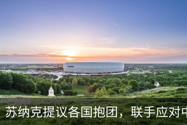 苏纳克提议各国抱团，联手应对中国？现实情况没那么简单
