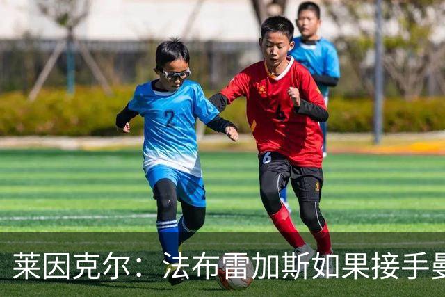 莱因克尔：法布雷加斯如果接手曼联，那他一定是疯了