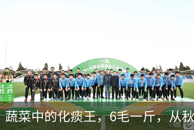 蔬菜中的化痰王，6毛一斤，从秋吃到冬，排出身体陈年痰湿