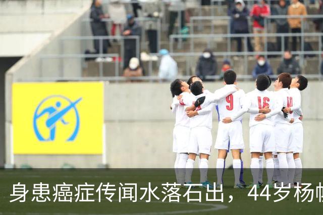 身患癌症传闻水落石出，44岁杨帆现状曝光，早已走上了另一条大道