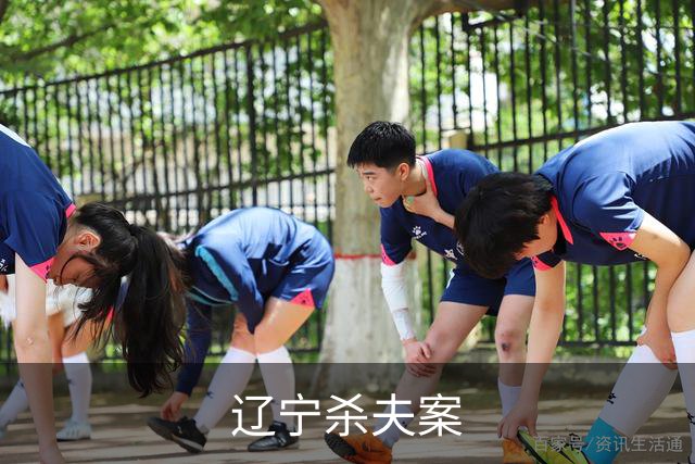 辽宁杀夫案