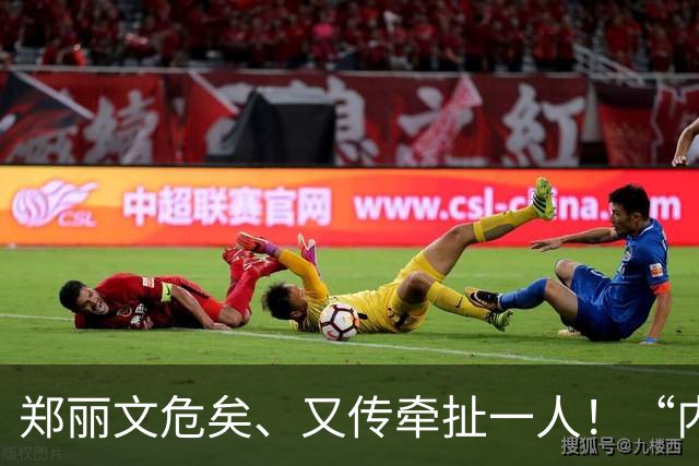 郑丽文危矣、又传牵扯一人！“内鬼”们落井下石，要联手夺她的权