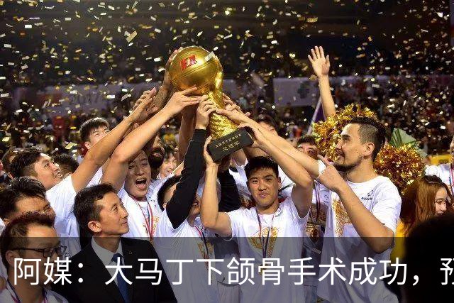 阿媒：大马丁下颌骨手术成功，预计将休战一个半月