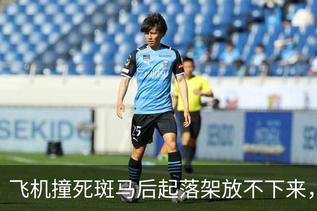 飞机撞死斑马后起落架放不下来，30人是怎么落地的？