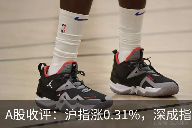A股收评：沪指涨0.31%，深成指跌0.11%，CRO/CMO、疫苗、生物制品等概念走强