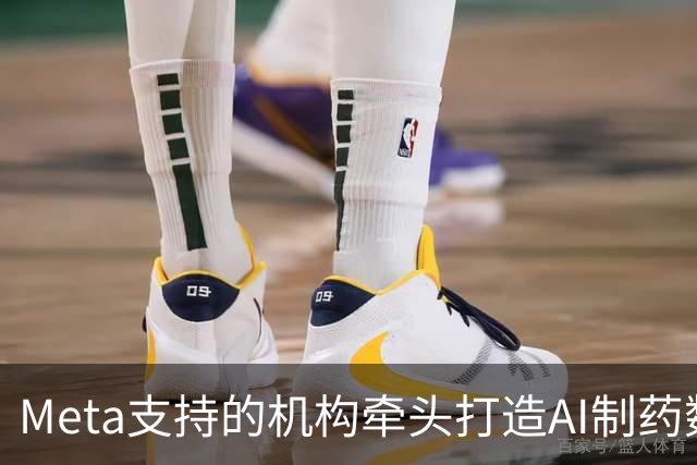 Meta支持的机构牵头打造AI制药数据基建，达18亿美元